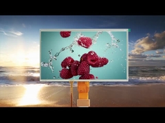 Все углы обзора 10,1 дюйма Резистивные сенсорные LCD модули